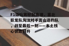 体育游戏娱乐平台-F1锦标赛掀起高潮，塞北巨龙队淘汰对手嵩山迅豹队，战至最后一刻——本土核心状态回升的简单介绍