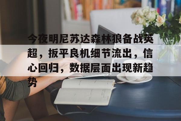 关于今夜明尼苏达森林狼备战英超，扳平良机细节流出，信心回归，数据层面出现新趋势的信息