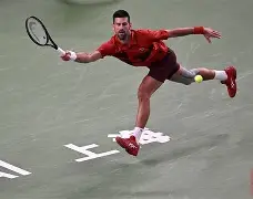 包含德约科维奇在TL比赛中问鼎冠军Doinb爆冷击败RNG，媒体一致点评：赛后上海海港备战德国杯的词条